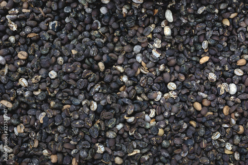 Copi Luwak coffee seeds seen from above photo