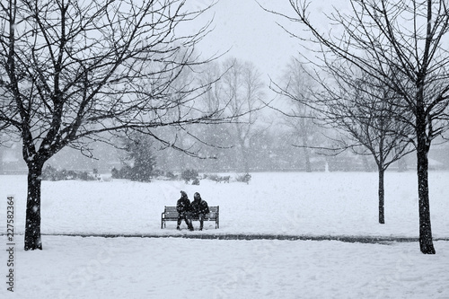 Together in the snnow © Callum