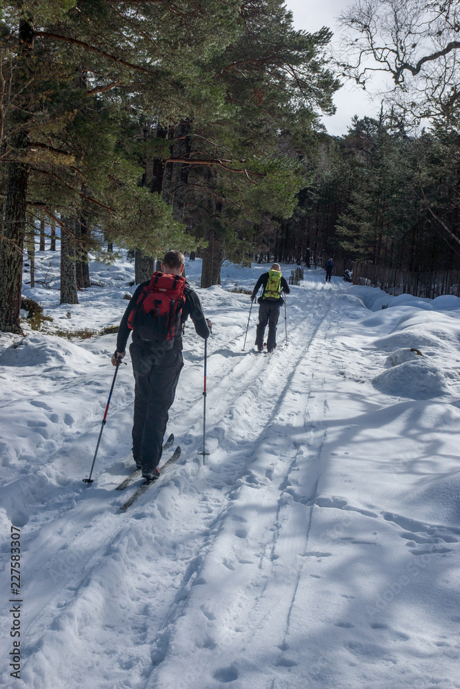 Cross country skiiing in the Cairngorm Mountains of Scotland