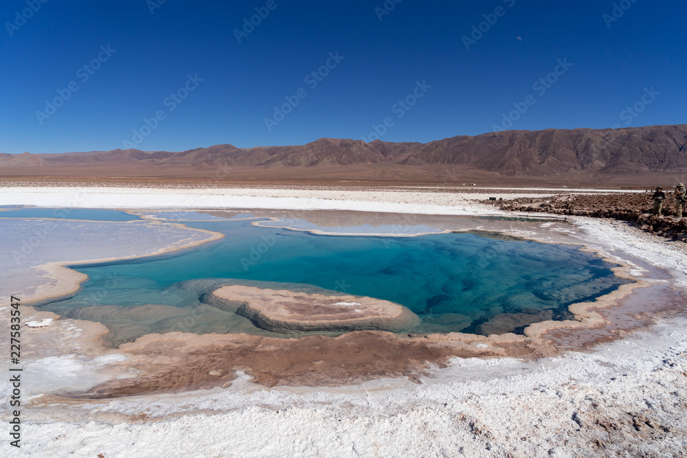 lagunas de baltinache - lake surrounded by salt in the middle of the atacama desert lagunas de baltinache - lake surrounded by salt in the middle of the atacama desert
