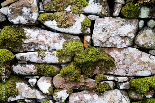 A ancient mossy wall on the Isle of Skye