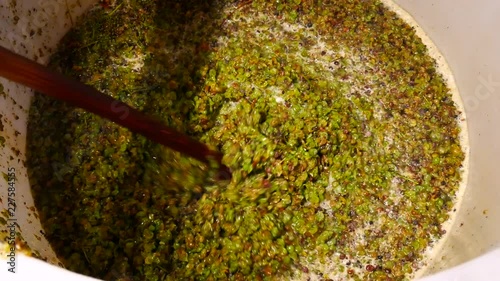 Press the freshly picked grapes for making Greco di Tufo wine, Avellino, Italy photo