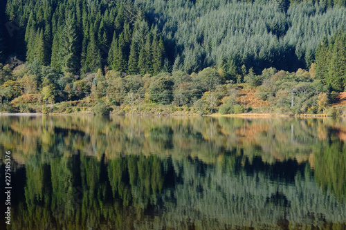 Fototapeta Naklejka Na Ścianę i Meble -  Reflections of autmumn colours in the waters of Loch Lubnaig in the Scottish Highlands