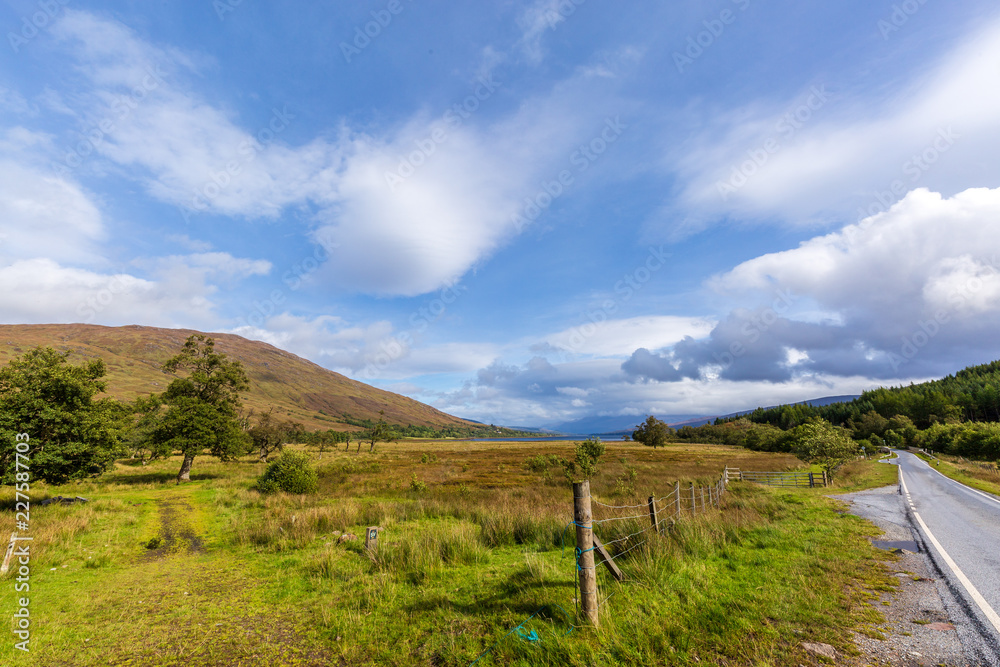 Naklejka premium Travek