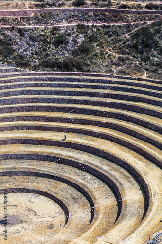 Circular terraces of Moray