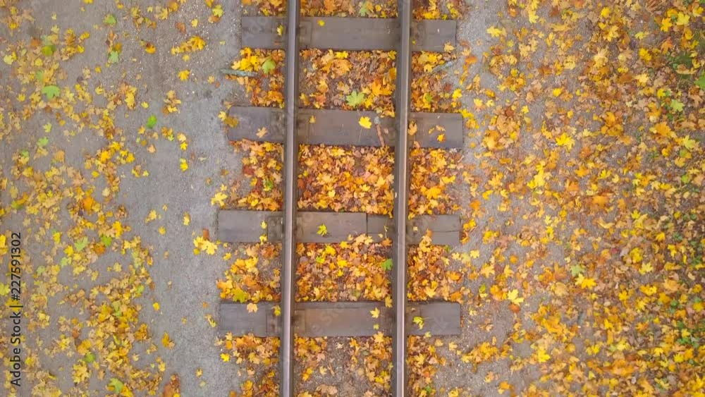 Rail road way in empty autumn forest
