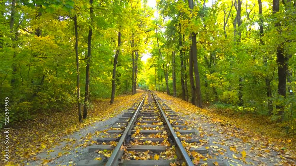 Rail road way in empty autumn forest