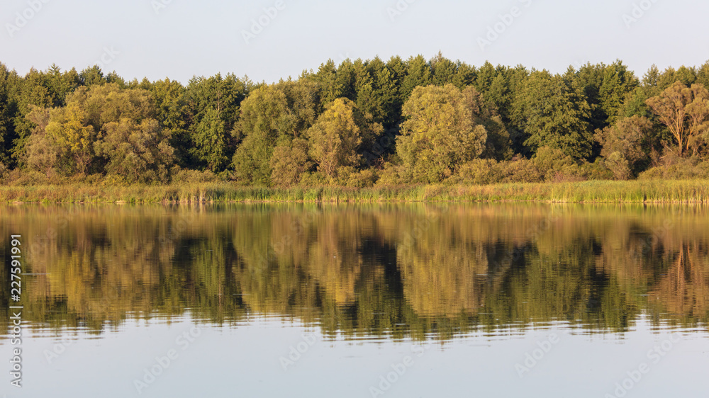 Trees with reflection on the water as a background