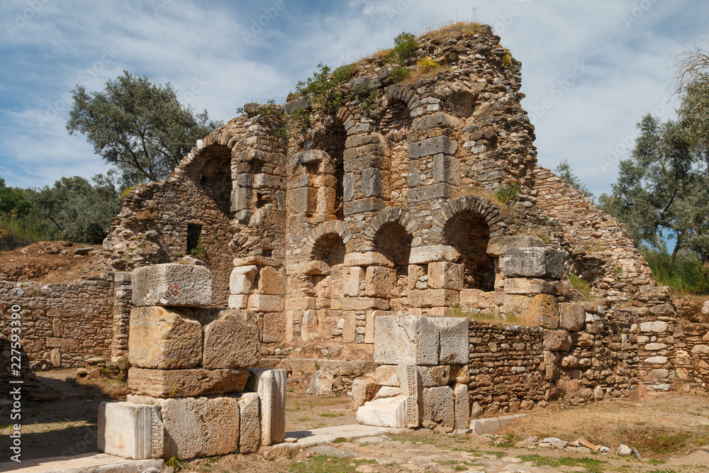 Ruins of the ancient town Nysa on the Maeander, Turkey