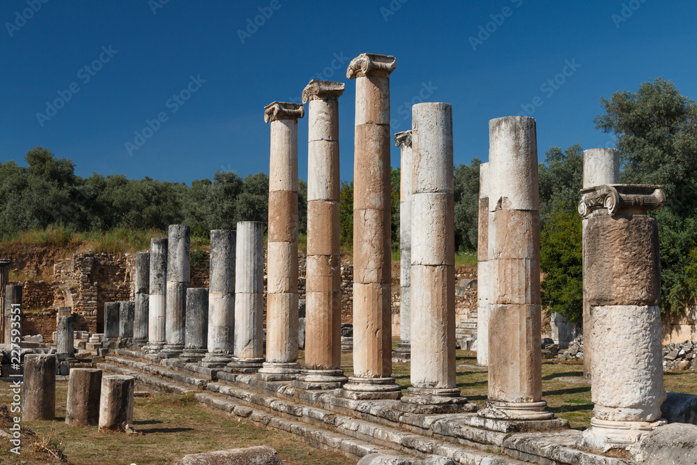 Ruins of the ancient town Nysa on the Maeander, Turkey