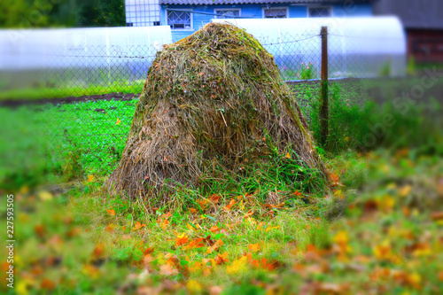 haystack