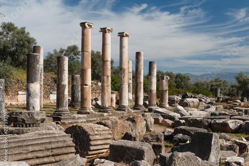 Ruins of the ancient town Nysa on the Maeander, Turkey