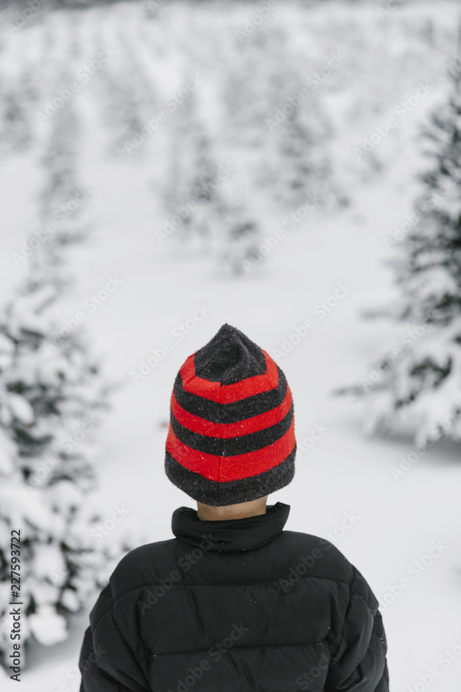 Boy at Christmas Tree Farm