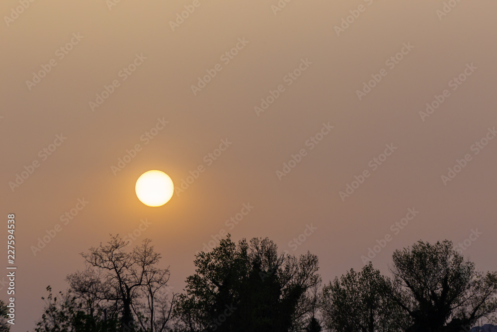 Obraz premium Sunset with sand suspended in the atmosphere, coluring the sky red, over some trees silhouettes and power lines