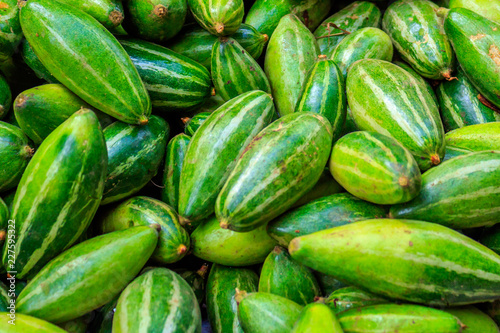 Heap of pointed gourd ( POTOL PARWAL ) photo