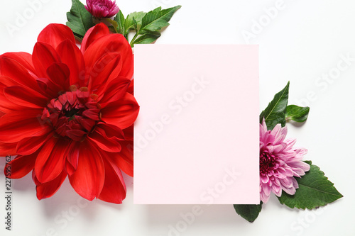 Fototapeta Naklejka Na Ścianę i Meble -  Flat lay composition with beautiful dahlia flowers and blank card on white background