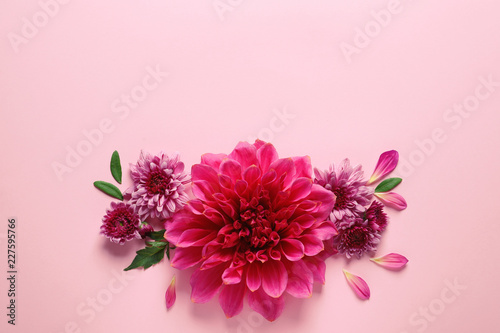 Flat lay composition with beautiful dahlia flowers and space for text on color background