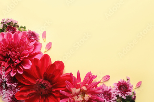 Flat lay composition with beautiful dahlia flowers and space for text on color background
