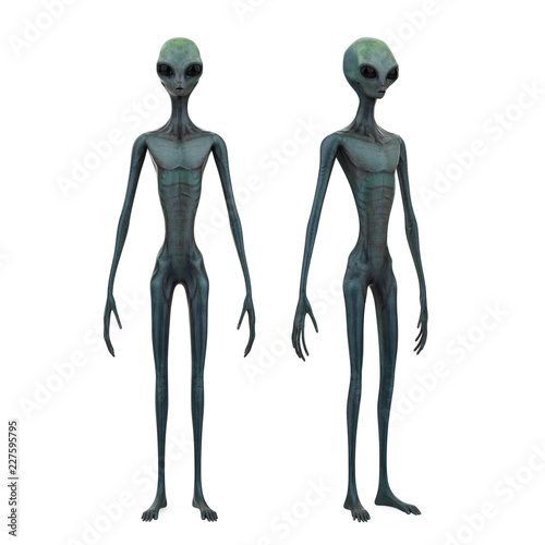 Obraz na płótnie Alien Creature Isolated