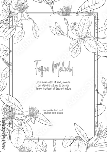 Wallpaper Mural Pattern, background with with feijoa flowers Torontodigital.ca