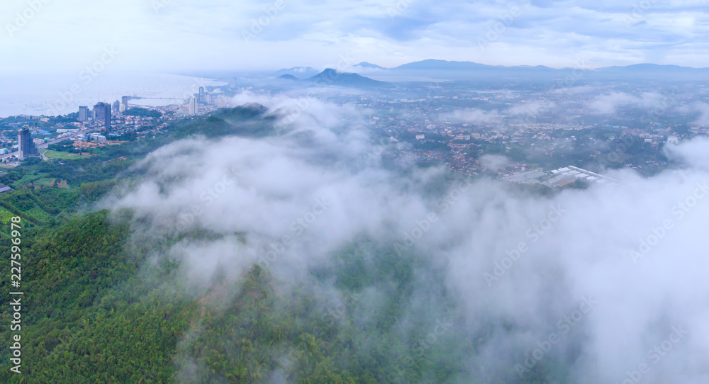 Obraz premium Aerial view of fog covered trees in the Valley beautiful autumn travel concept.