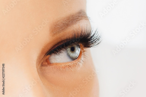 Fototapeta Naklejka Na Ścianę i Meble -  Female eye with extreme long false eyelashes and black liner. Eyelash extensions, make-up, cosmetics, beauty