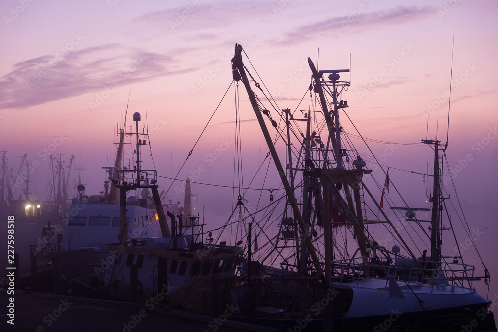 Fototapeta premium Morgennebel im Hafen