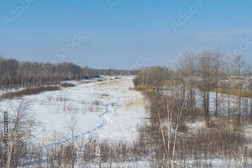 winter landscape field