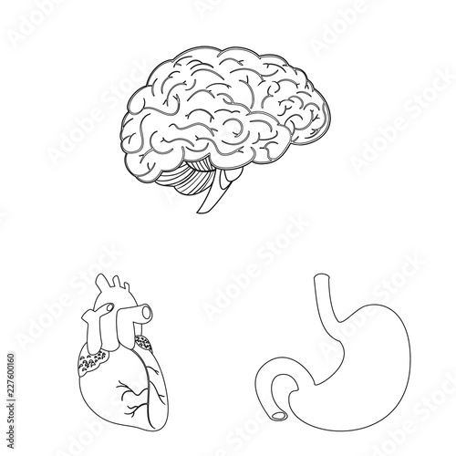 Vector design of body and human logo. Collection of body and medical stock symbol for web.