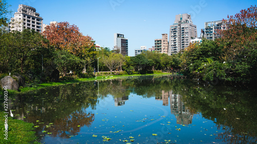 Scenic ecological pool in Daan forest park in Da'an district Taipei Taiwan