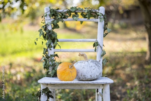 pumpkins on white chair in garden