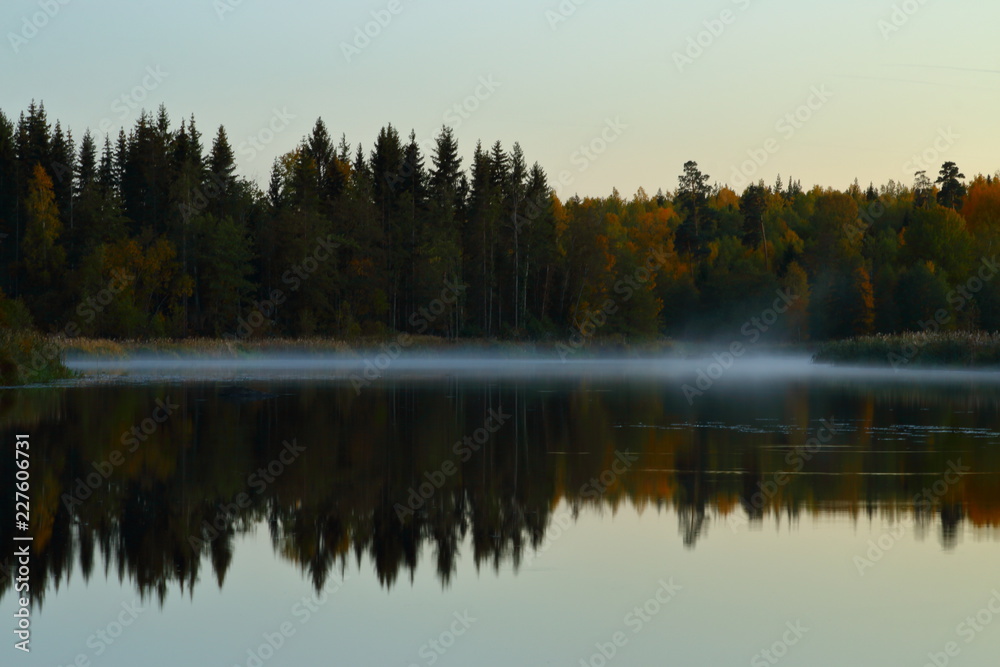 Obraz premium reflection of trees in the lake