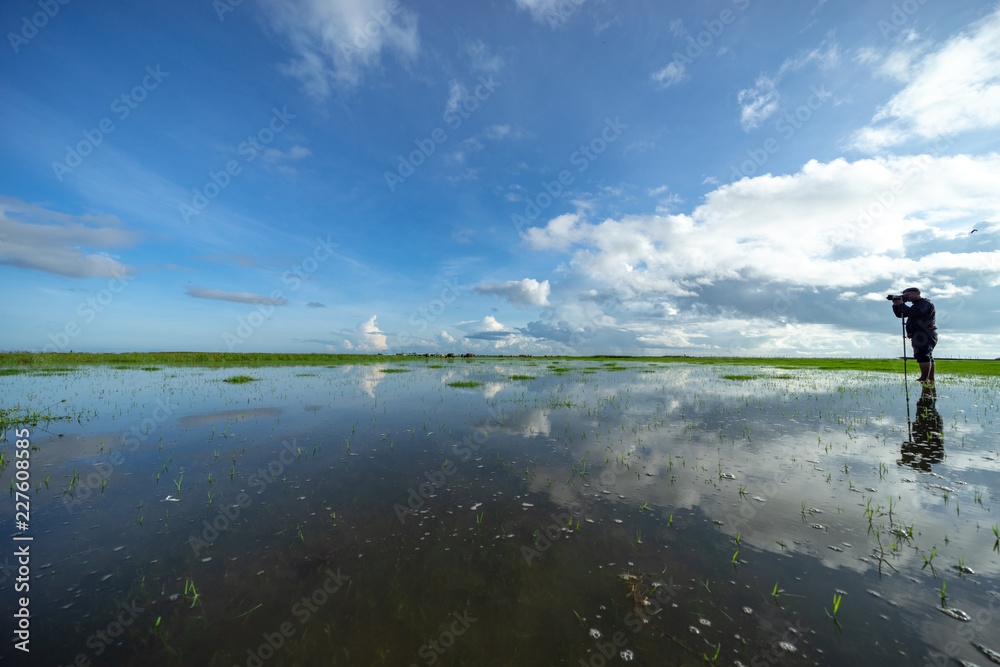 Morning view of lake Thale Noi, Phatthalung of Thailand. Morning view of lake Thale Noi, Phatthalung of Thailand.