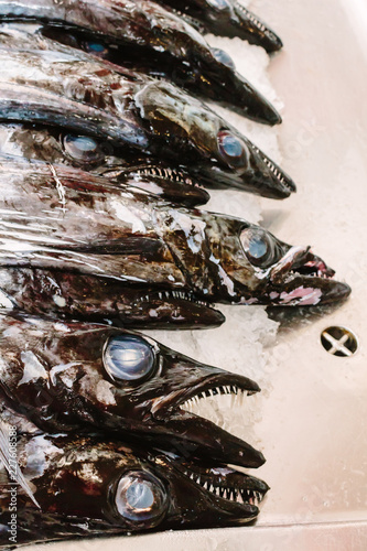 Fish heads for sale at a market in Madeira photo