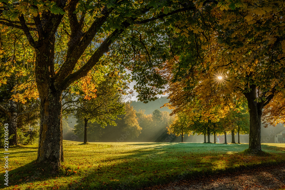 Fototapeta premium Sonnenaufgang über dem Golfplatz