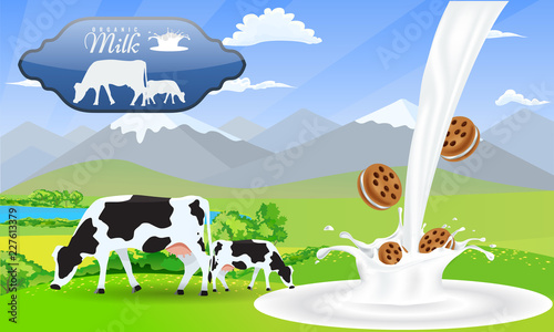 Milk splash sandwich cookies and Beautiful nature landscape mountain and meadow fields with cows.
