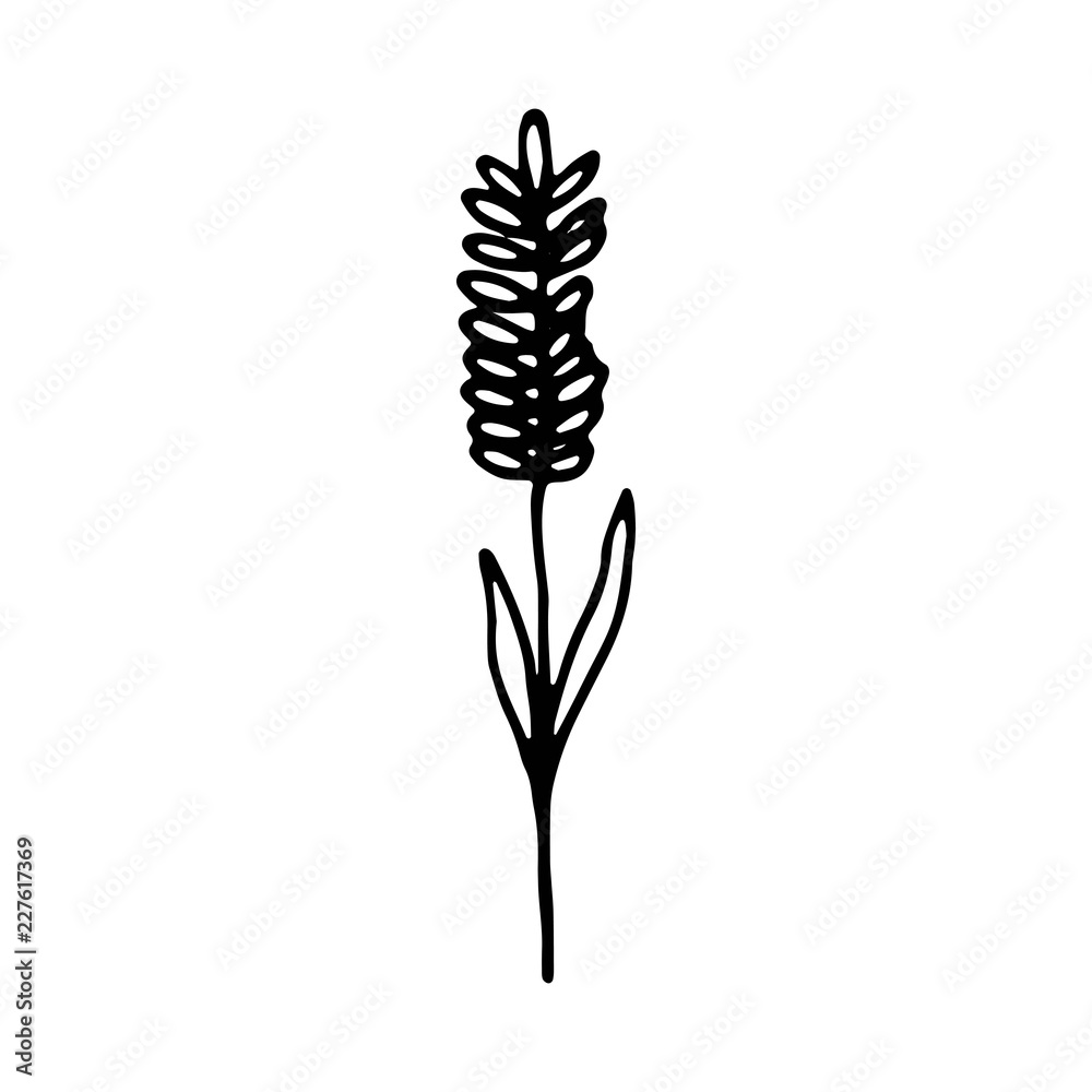 sprout icon. plant isolated object sprout icon. plant isolated object