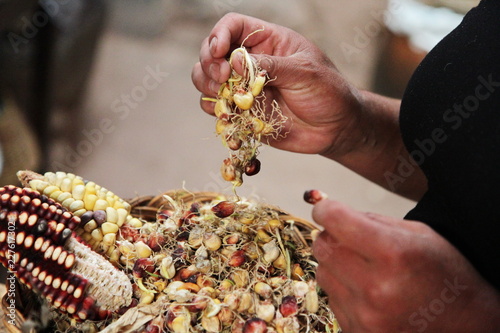 chicha corn beer brew photo