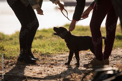 Female hands holding dog-collar and leash outdoor