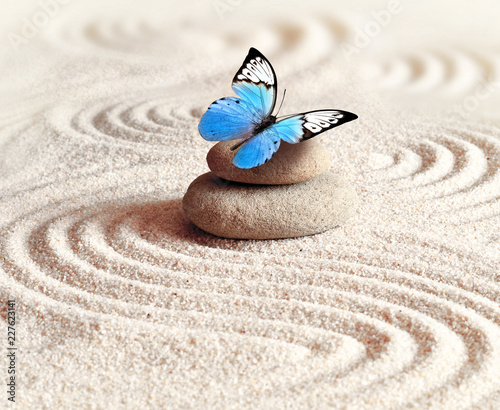 Sand, blue butterfly and spa stone in zen garden. Spa concept.