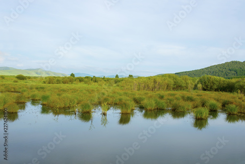 Summer Lake Calm Beach With