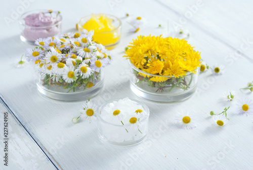 cosmetic product samples with herbal flowers on white wooden table