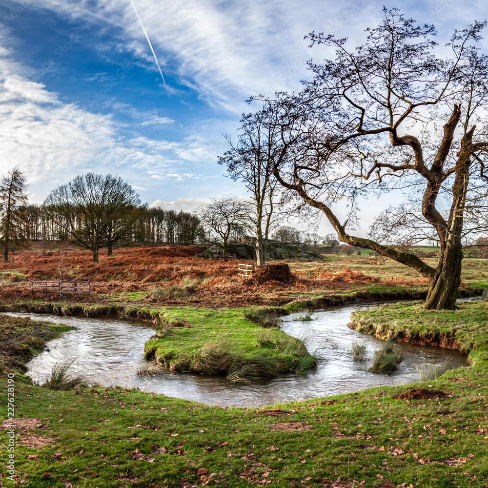Obraz premium A winding river and an old tree among English fields
