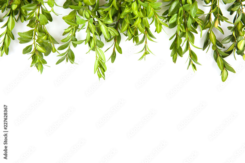 Obraz premium Christmas decoration on white background