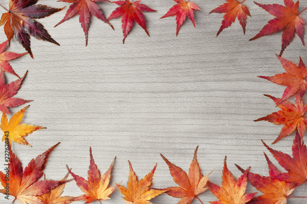 Autumn background maple leaves on a wooden board. Top view Autumn background maple leaves on a wooden board. Top view