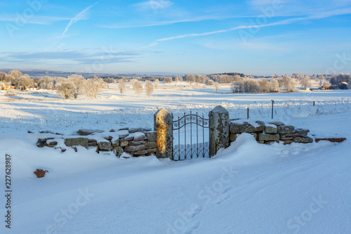 Snow covered old gate in a beautiful winter landscape