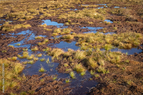 Peat bogs in Northumberrland en route to the Cheviot