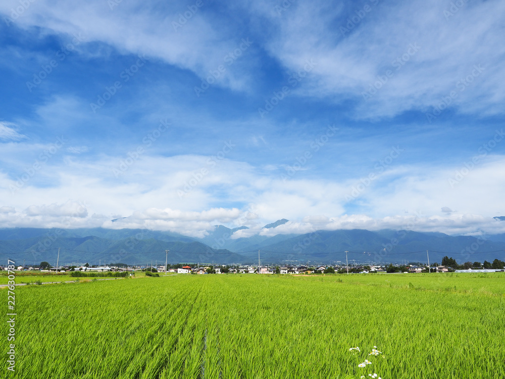 田園風景と北アルプス