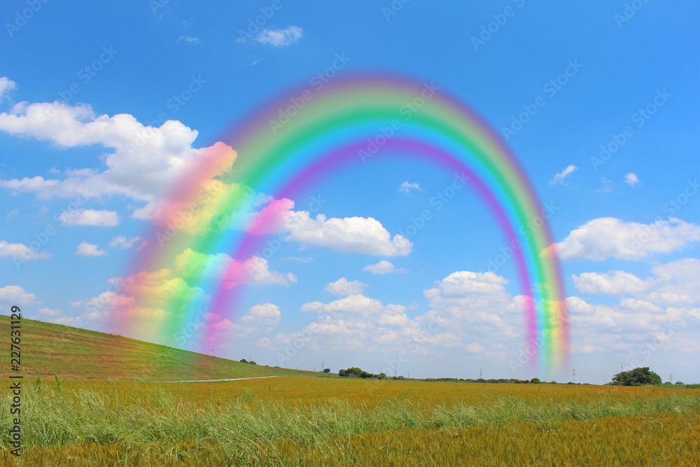 丘にかかる虹