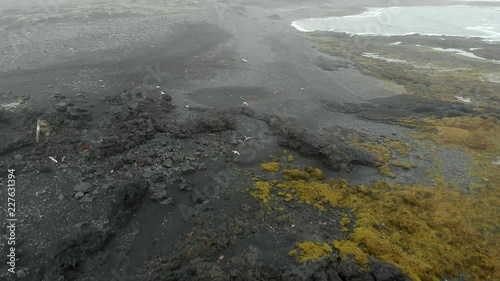 Flying with birds flying low over a rocky stormy beach in Iceland photo